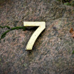 TM – 7 year itch